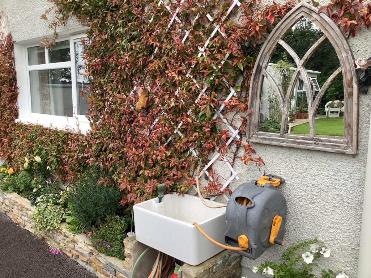Laurel Cottage Ballymoney Εξωτερικό φωτογραφία